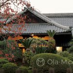 Nara - dom w tradycyjnym japońskim stylu