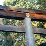 Tokio - Świątynia Meiji - brama prowadząca do świątyni