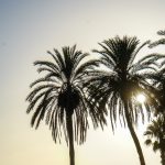 Plaża Pedregalejo - palmy i zachód słońca - tak, jest to kicz w całej okazałości, ale ja takie kicze lubię :-)