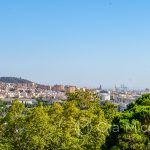 Malaga - ogród botaniczny - widok na Malagę
