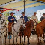 Andaluzja - Fiesta - Feria de Ronda - konie andaluzyjskie są ponoć łagodne, inteligentne i świetnie nadają sie do tresury