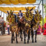 Andaluzja - Fiesta - Feria de Ronda - odświetnie udekorowany zaprząg
