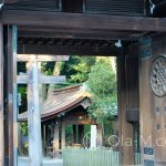 Tokio - Świątynia Meiji - drewniane budynki harmonijnie komponują się z lasem