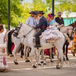 Andaluzja - Fiesta - Feria de Ronda - ze względu na swoje piękno andaluzyjskie konie często występują w filmach, na przykład we "Władcy pierścieni" lub "Zorro"